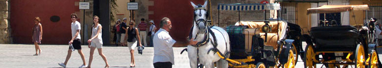 Paarden met koetsen wachten bij de ingang van het Alcazar, Sevilla