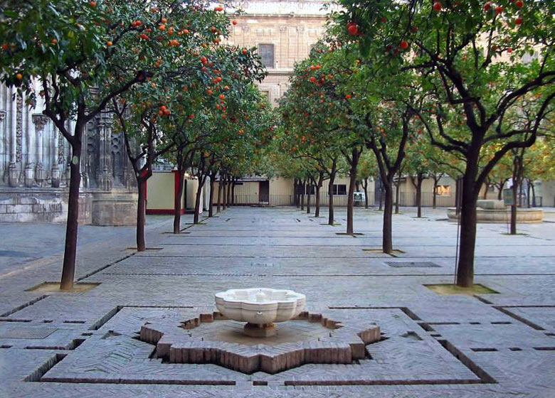 The orange tree courtyard of the cathedral of  Seville, Spain