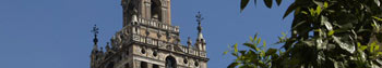 The Giralda tower is one of the main monuments of Seville