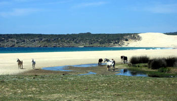 Bolonia, Costa de la Luz