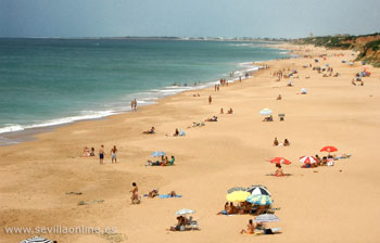 Conil de la Frontera biedt 14 km stranden  - Costa de la Luz