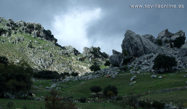 Felsen im Naturpark Sierra de Grazalema, Provinz Cadiz 