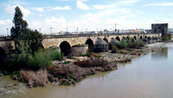 De romeinse brug met la torre de Calahorro aan het eind - Cordoba