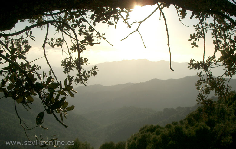 Parco naturale Montes de Malaga, Costa del SOL - Andalusia, Spagna.