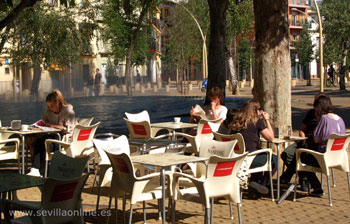 Coffee and relax on the Alameda, Seville