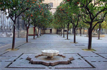 The orange tree courtyard of the cathedral of  Seville, Spain