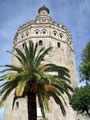Torre del oro - de gulden toren of de toren van het goud.